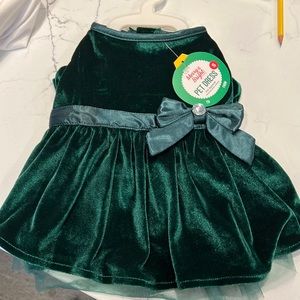 Green holiday dress